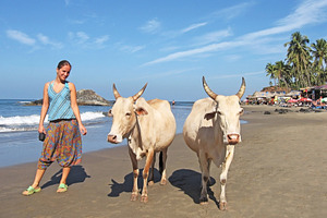 Young woman and cow twins, a Photo by saiko3p