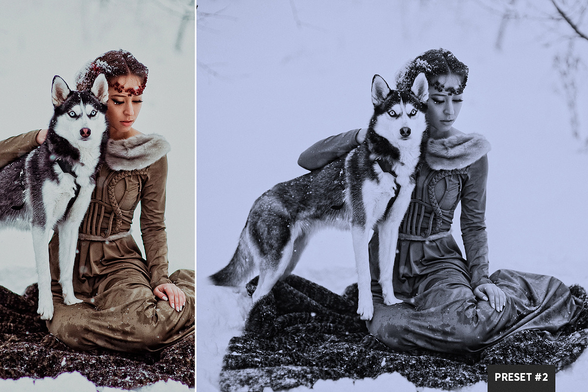 Monotone LR Presets Mobile + Desktop, a Plug-in Add-On by PhotoSpirit (Photo 2 of 10)