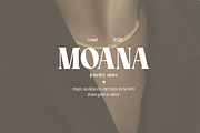 Molcer - Modern Serif Font, a Font by Say Studio (Thumbnail 13 of 13)