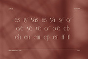 Roverys Minimalist Serif Font, a Serif Font by Elegant Font (Thumbnail 8 of 8)