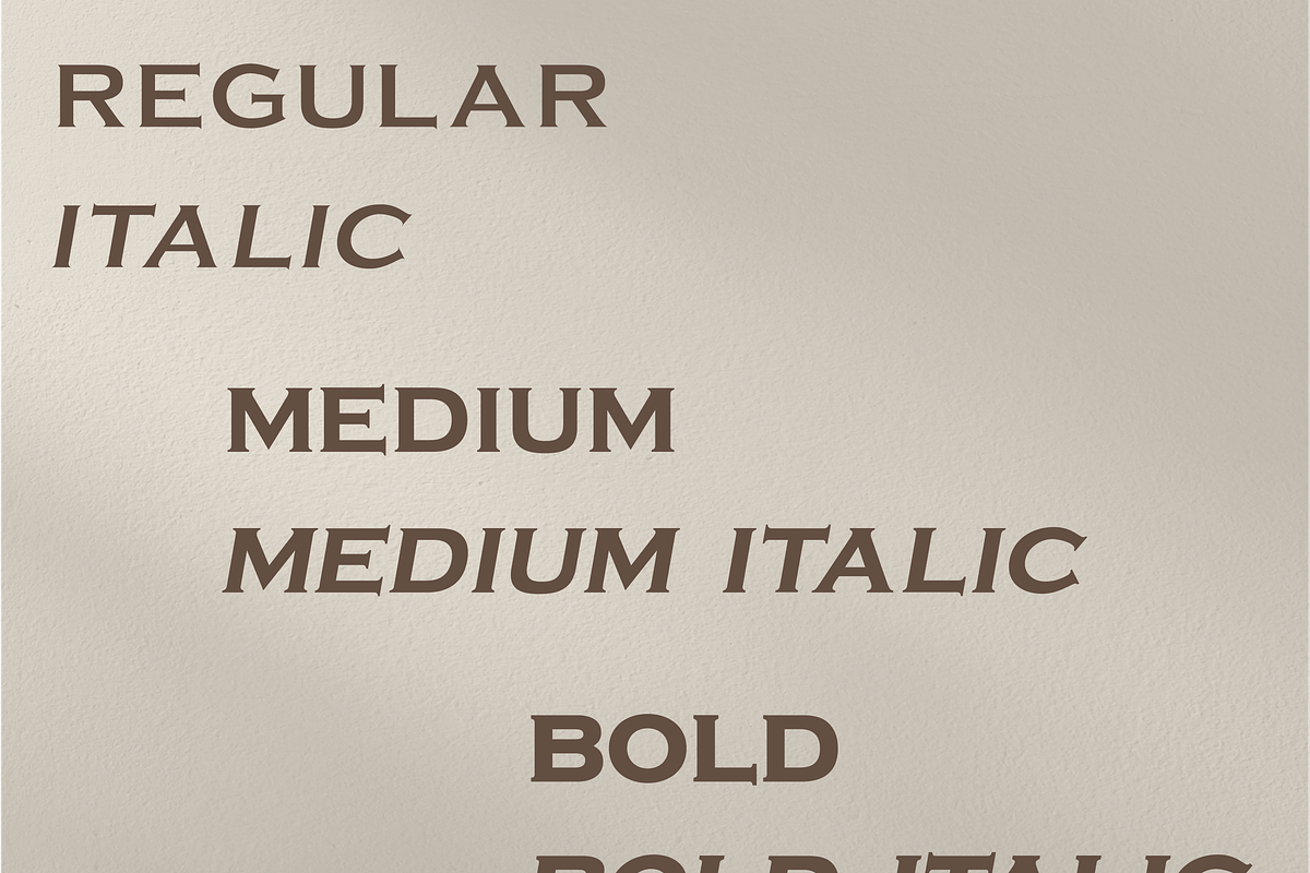 Sanir Retro Serif Font, a Serif Font by Creative Foundry (Photo 2 of 8)