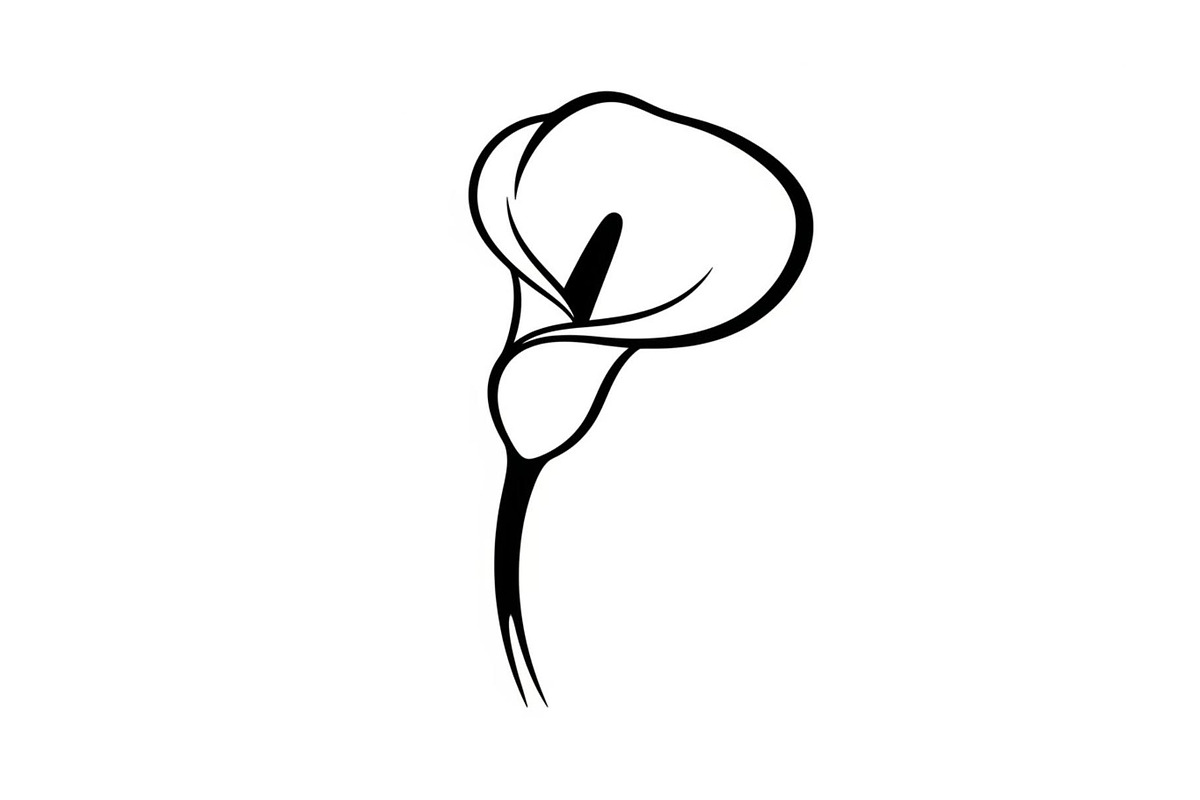 Black Lily Flower Vector Bundle, an Illustration by Designs_River (Photo 31 of 51)