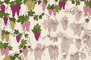 Vintage Grape Vector set Wine Labels, a Food Illustration by Neliakott ♥ (Thumbnail 9 of 10)