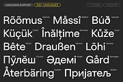 TT Turns, a Sans Serif Font by TypeType (Thumbnail 5 of 26)