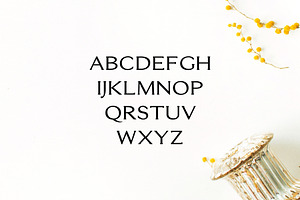 Erynn Serif Font