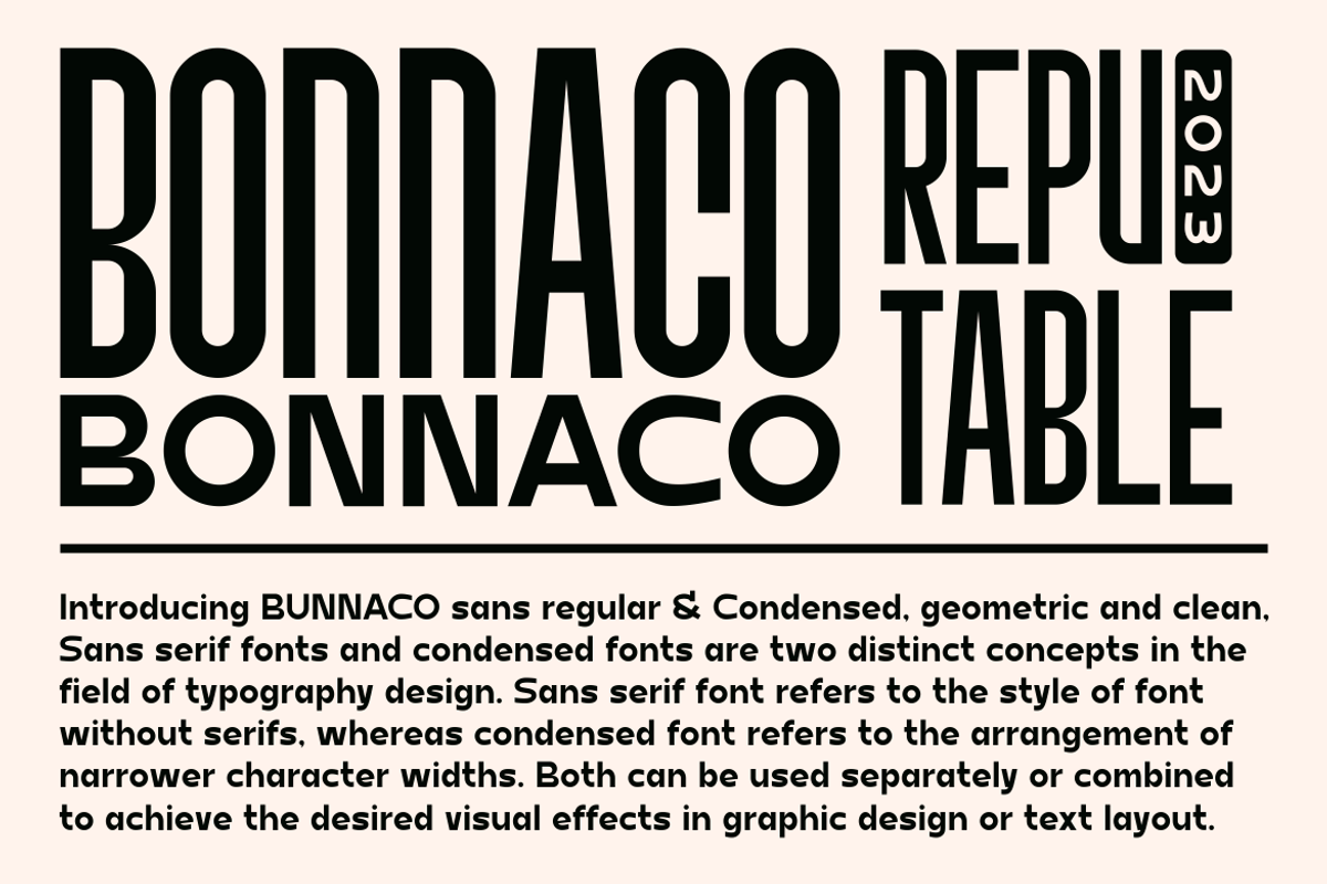 Bonnaco Font Collaboration, a Sans Serif Font by MaikoHatta (Photo 2 of 9)