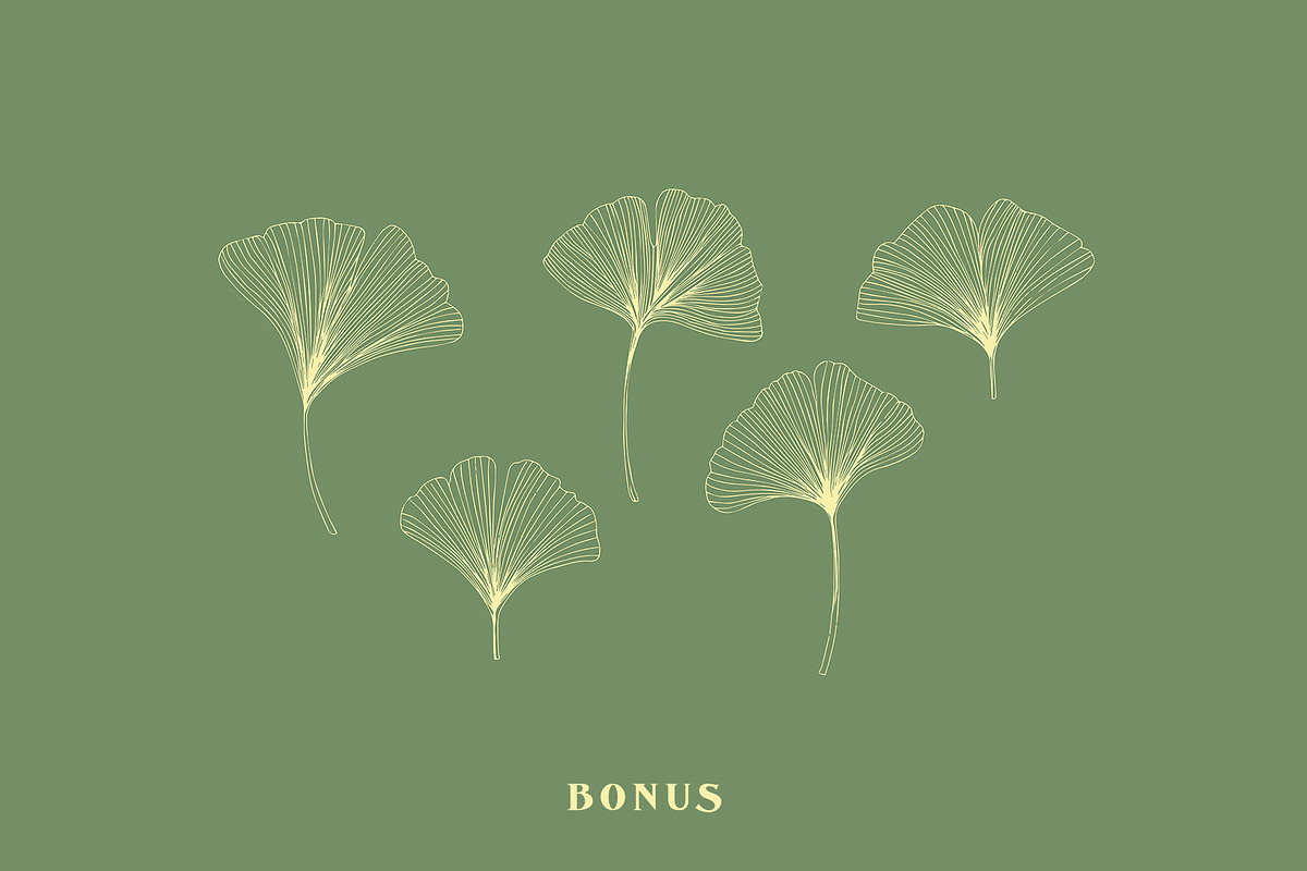 De Ginkgo, a Serif Font by Emyself Design (Photo 14 of 16)