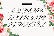 Armattuge - Script font, a Script Font by Quothron (Thumbnail 5 of 6)