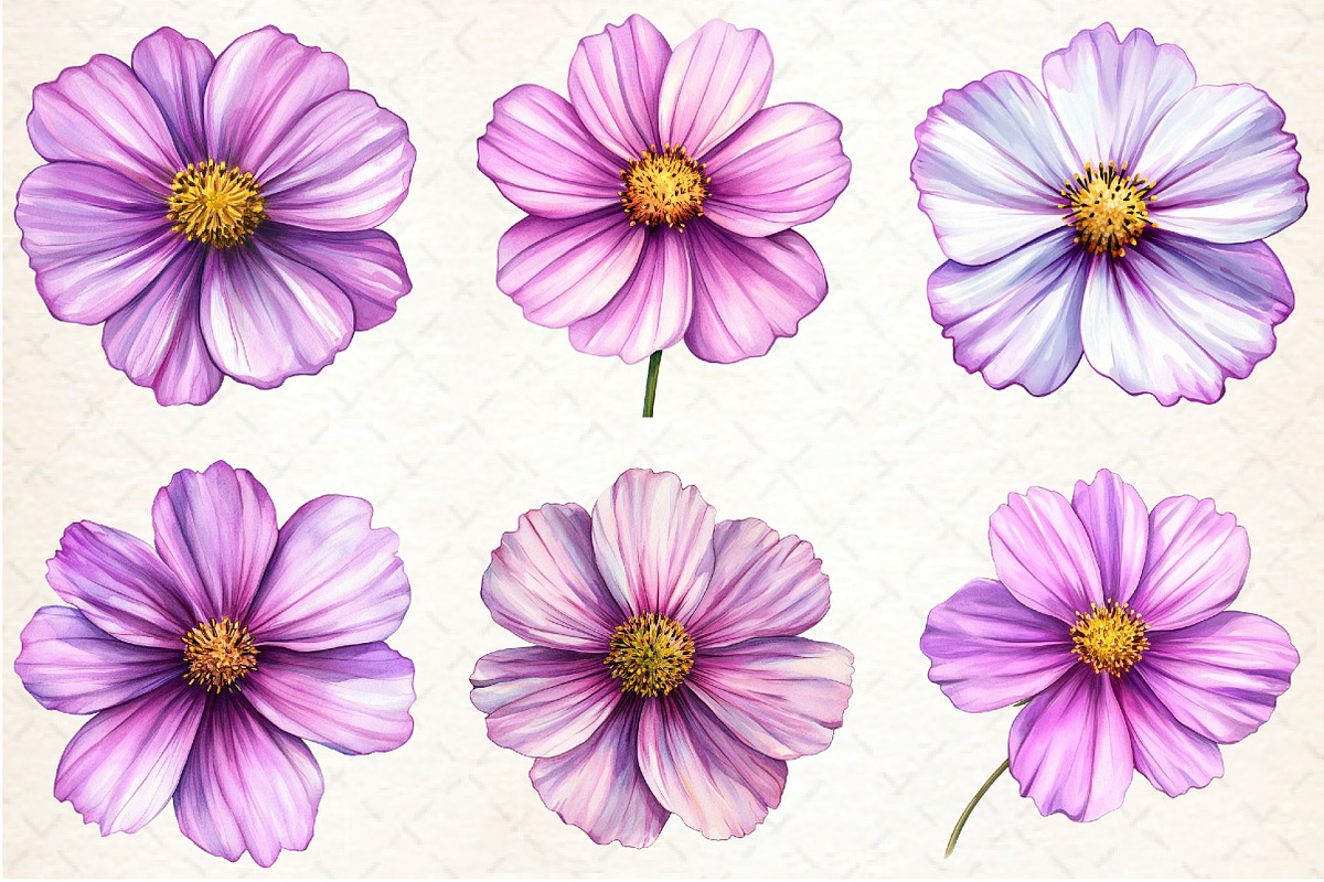 Cosmos Flower Bloom Clipart, an Illustration by Rose Art (Photo 5 of 7)
