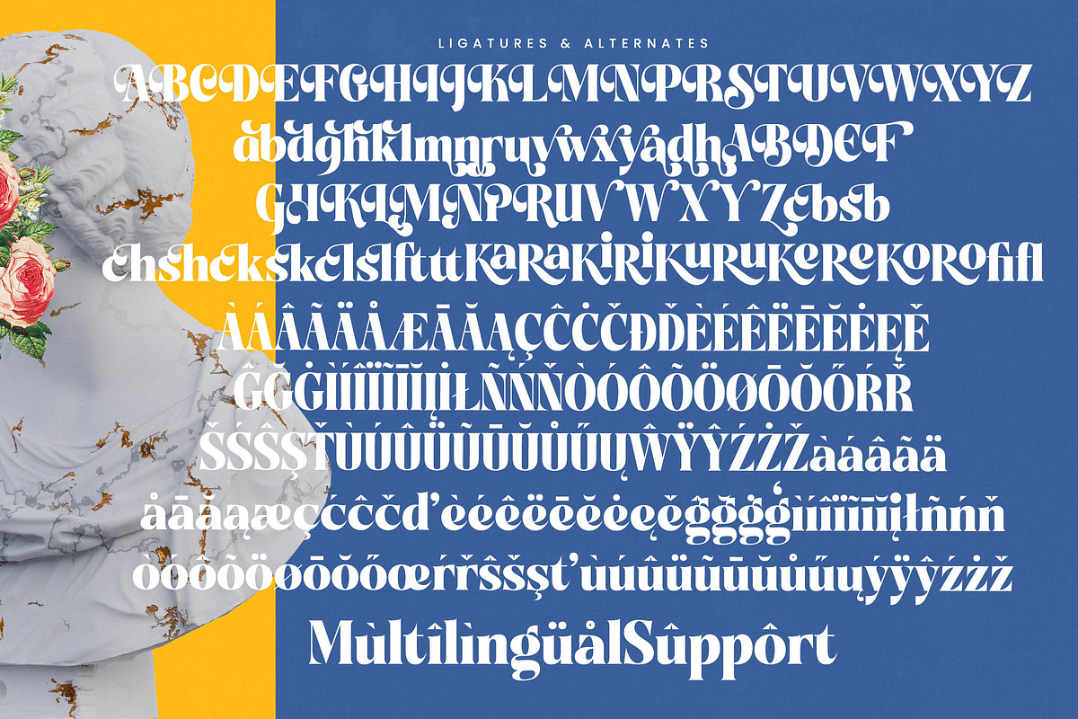 Night Roasty Modern Serif Font, a Script Font by timelesstype.co (Photo 19 of 20)