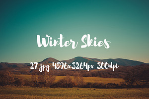 Winter Skies