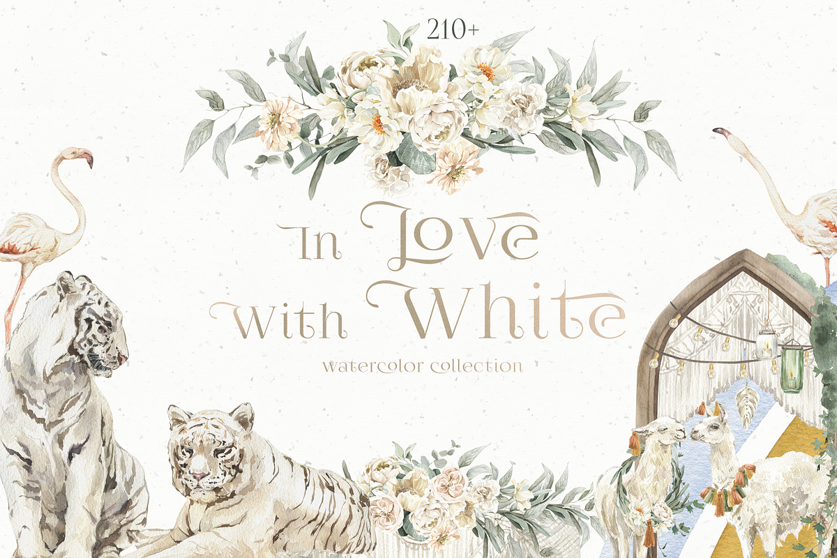 GRAND BUNDLE Graphics 80 in 1_10650+, an Animal Illustration by Cat In Colour (Photo 32 of 36)