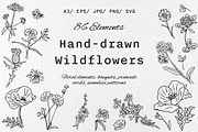 Hand-Drawn Wildflowers, a Decorative Illustration by Decor Lines (Thumbnail 1 of 10)