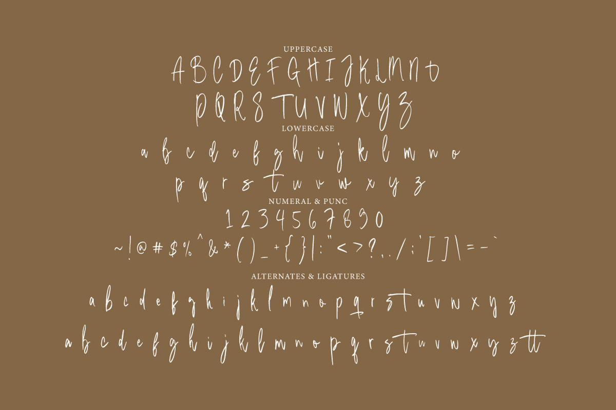Bartersay - Signature Brush, a Handwritten Font by tebaltipislab (Photo 5 of 9)