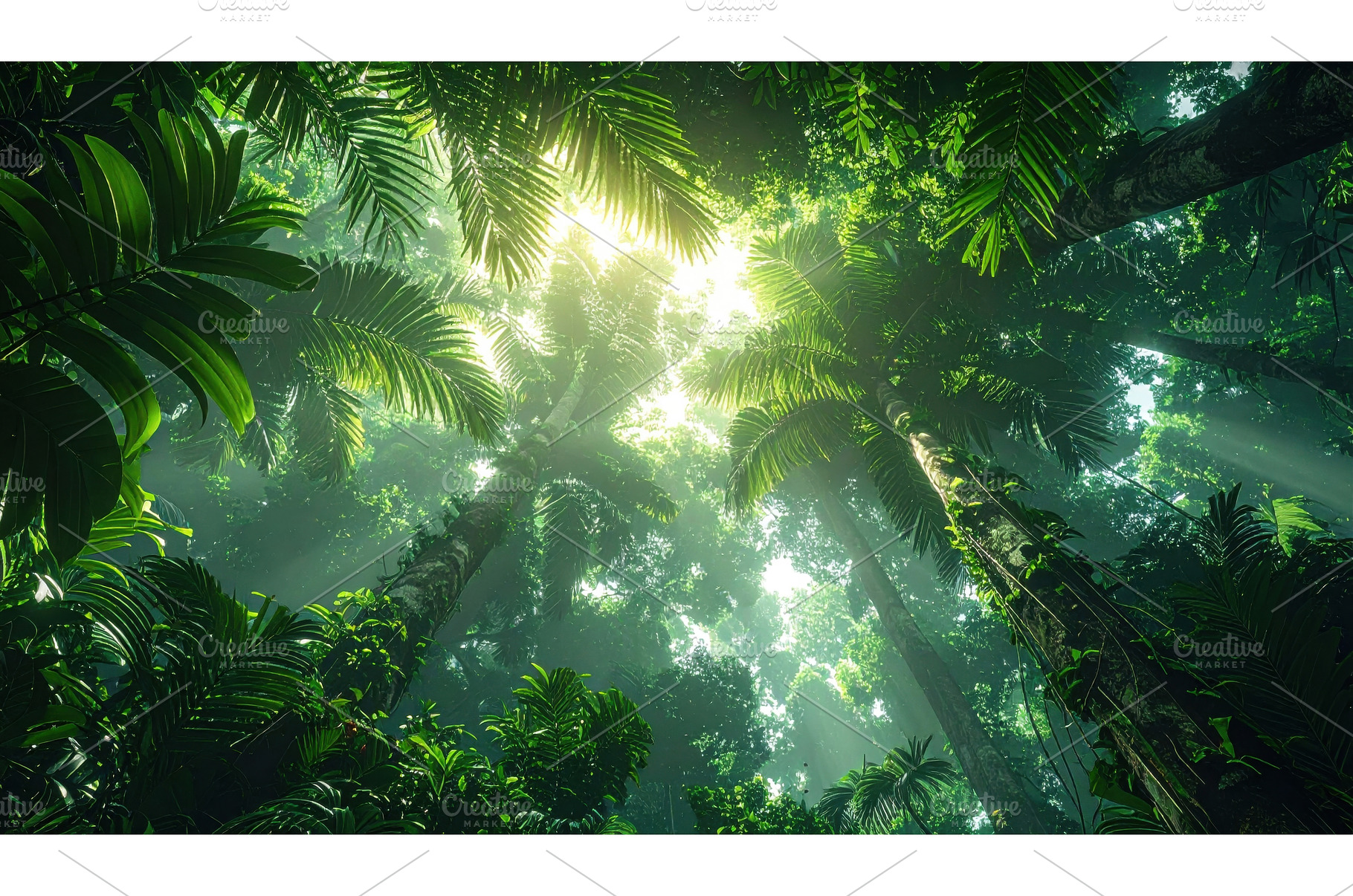 Lush tropical rainforest canopy with, a Nature Photo by Igor Tichonow