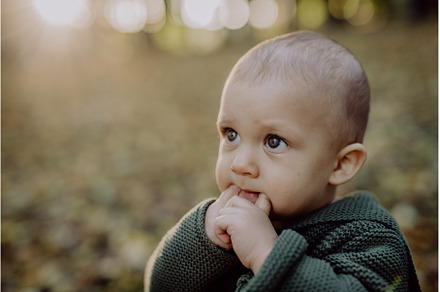 Little boy sitting in dry leaves in, a Person Photo by HalfPoint