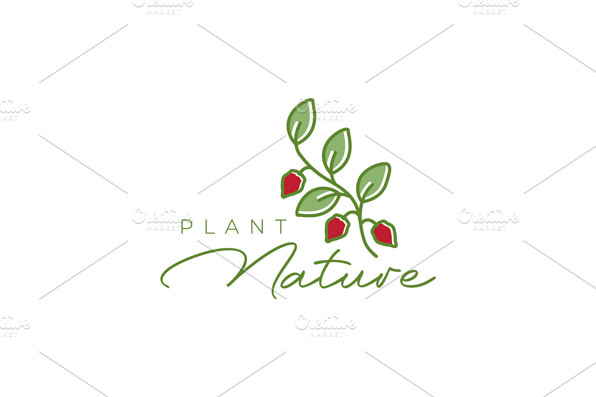 chili red plant feminine logo, a Branding & Logo Template by devastd