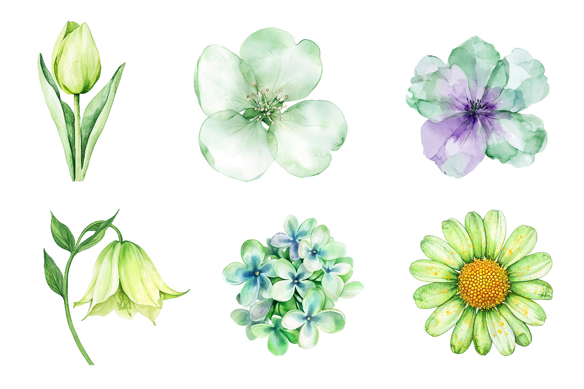 Green Blossom Spring Clipart, an Illustration by CreationArt (Photo 2 of 5)