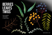 AUSTRALIA FAIR Elements, a Decorative Illustration by Dana Designs (Thumbnail 3 of 14)