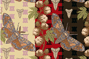 Hawk Moth, Cotton and Shark Tooth, a Pattern Graphic by NayaChu (Thumbnail 5 of 10)
