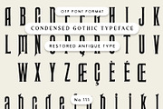 Condensed Gothic Typeface, a Serif Font by Century Library (Thumbnail 1 of 6)