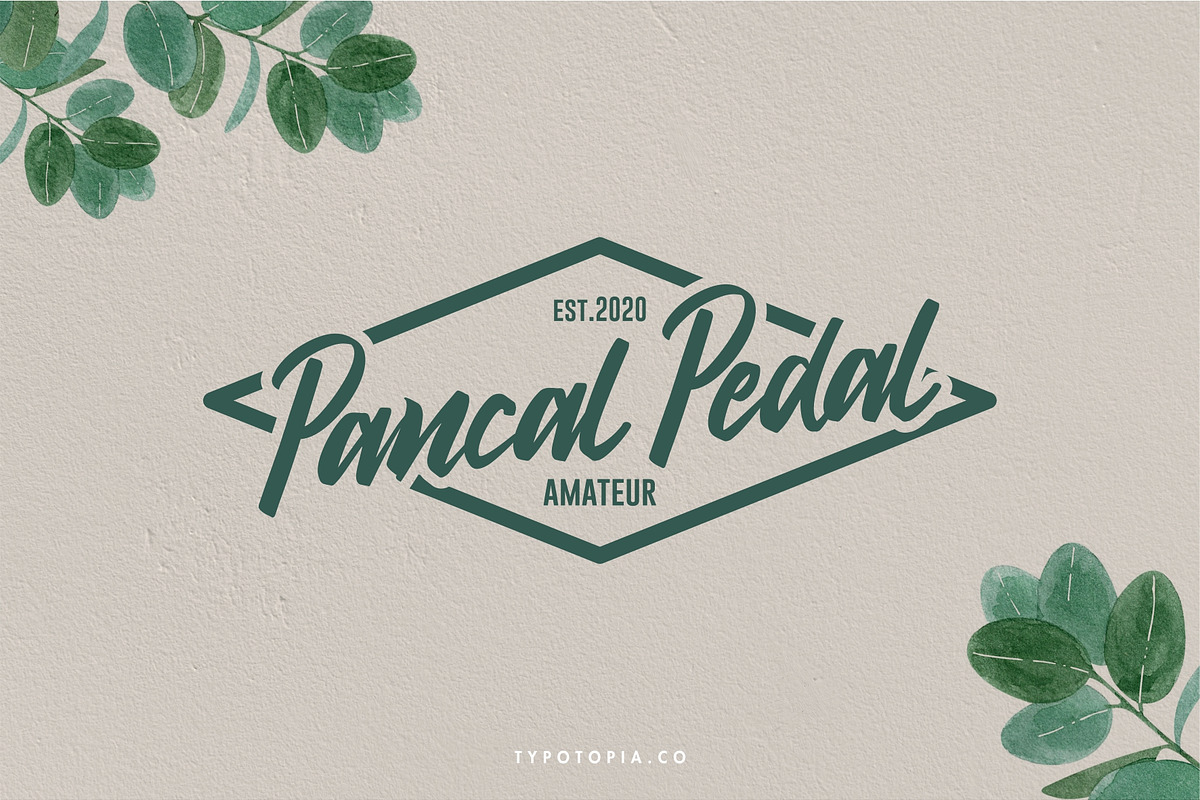 Antoine, a Script Font by edukka (Photo 6 of 8)