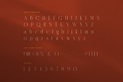 Honste Elegant Serif Display Font, a Serif Font by Graphicxell (Thumbnail 7 of 8)