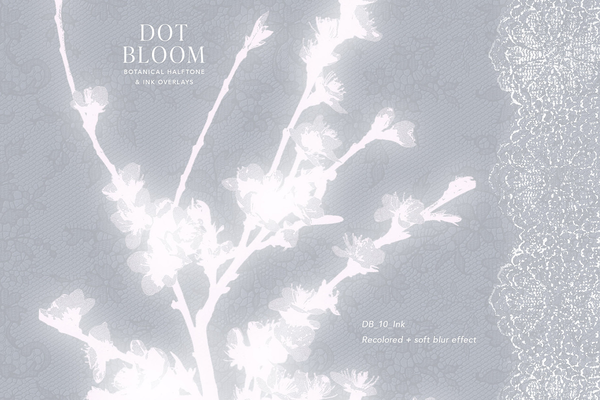 Floral Halftone & Ink PNG Overlays, an Object Graphic by alonahaidash (Photo 3 of 11)