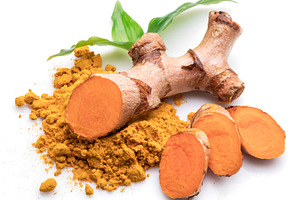 Fresh turmeric rhizome, a Food & Drink Photo by Volff