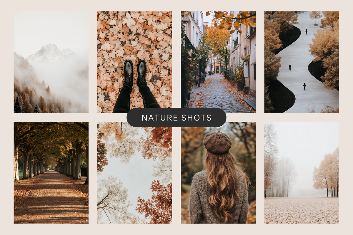 90 Autumn + Fall Stock Images Bundle, a Holiday Photo by Refancy (Photo 7 of 12)