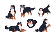Cute bernese mountain dog set, an Animal Illustration by Good Studio (Thumbnail 2 of 6)