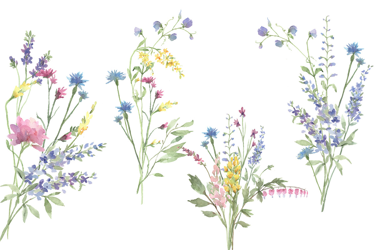 Wildflowers and Watercolor Textures, a Healthcare Illustration by Graphic Blue Bird (Photo 4 of 7)