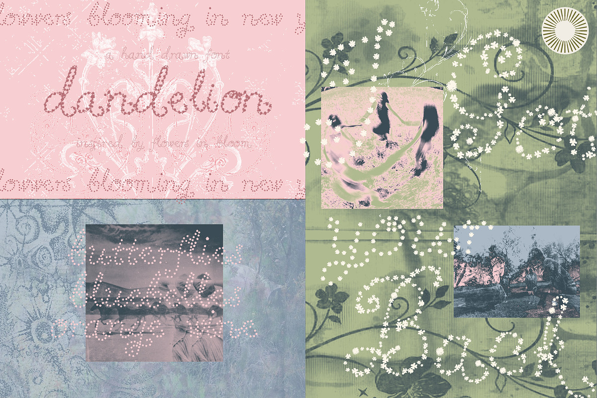 Little Clover- Botanical Script Font, a Script Font by Setara Langit CreativeStd (Photo 9 of 14)