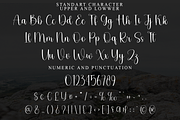 Boho Stylish, a Script Font by FreshTypeINK (Thumbnail 5 of 8)