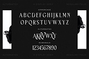 Horge A Display Serif Font, a Serif Font by Storytype Studio (Thumbnail 14 of 16)