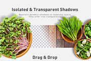 Organic Food Scene Creator_01, a Product Mockup by Mila (Thumbnail 2 of 7)