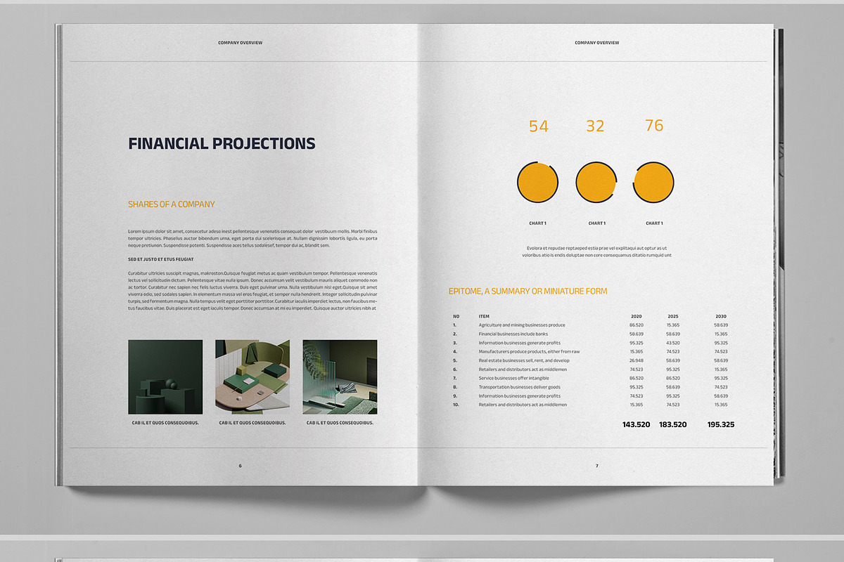Company Overview Brochure Template, a Brochure Template by Boris Cupac (Photo 5 of 7)