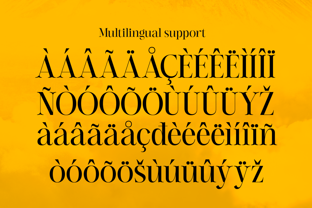 Jarekuh, a Serif Font by Differentialtype (Photo 9 of 10)