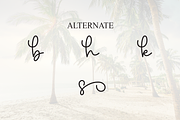 Vibes | Script Font, a Handwritten Font by Scratchones (Thumbnail 8 of 9)