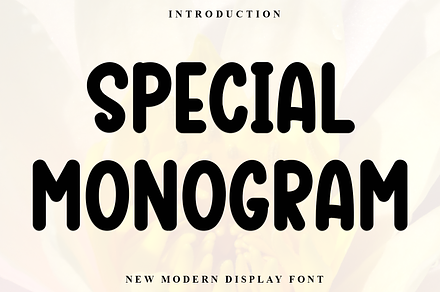Special Monogram, a Serif Font by FreshTypeINK