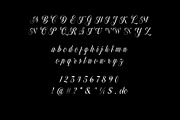Dollarios - Calligraphy, a Script Font by INKSUN™ (Thumbnail 6 of 8)