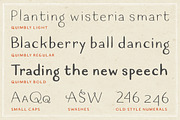 Quimbly Font Trio, a Sans Serif Font by Magpie Paper Works (Thumbnail 3 of 7)
