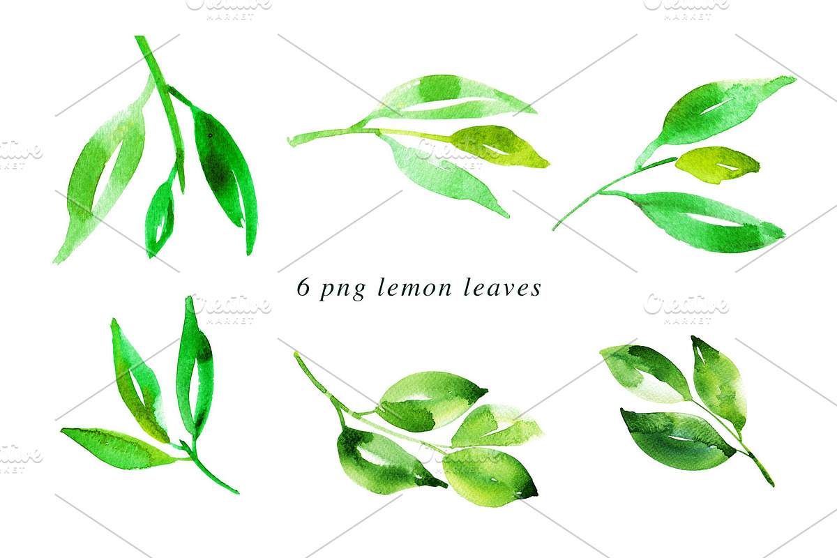 Watercolor Lemon Painting Bundle, an Illustration by Heartmade by Claudia (Photo 3 of 4)