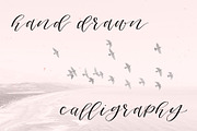 Columbidae Elegant Calligraphy Font, a Script Font by The Pigeon Letters (Thumbnail 4 of 11)