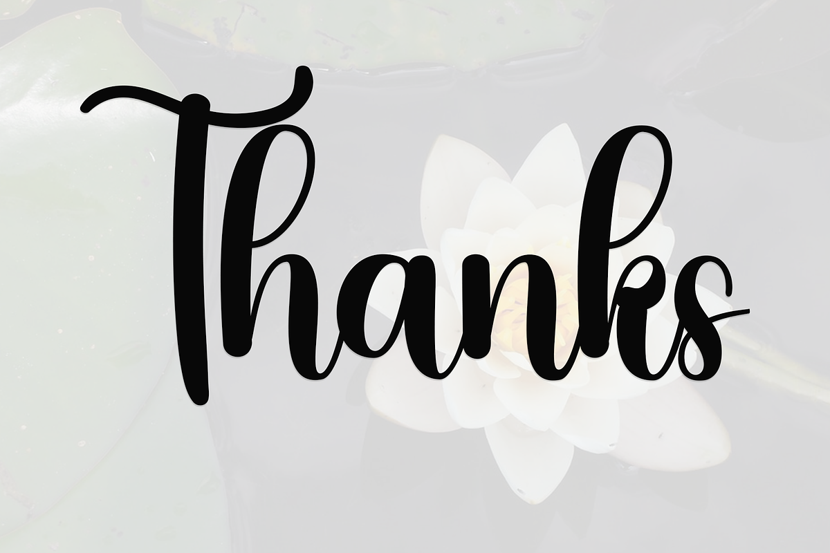 Bloomishly, a Handwritten Font by FreshTypeINK (Photo 6 of 8)