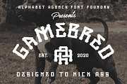 GAMEBRED FONT, a Serif Font by Alphabet Agency (Thumbnail 1 of 9)