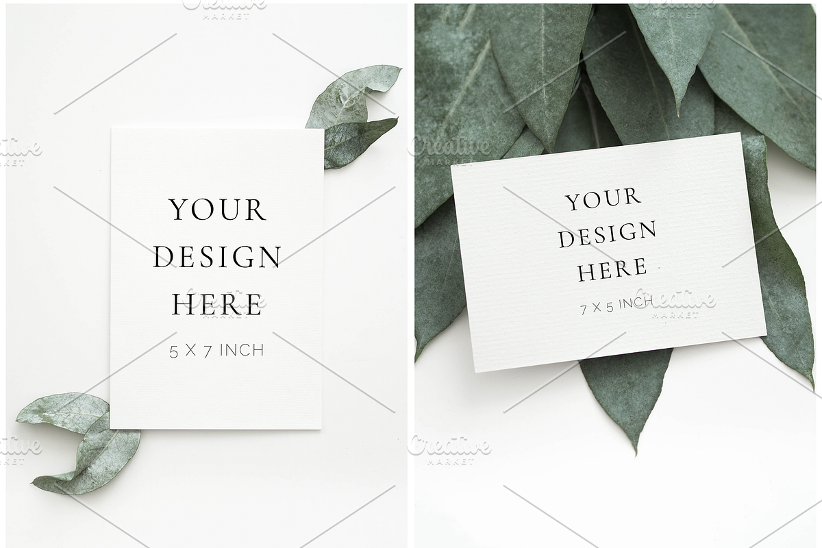 The Eucalyptus Leaves Bundle, a Print Template by Imperium Nordique (Photo 2 of 5)