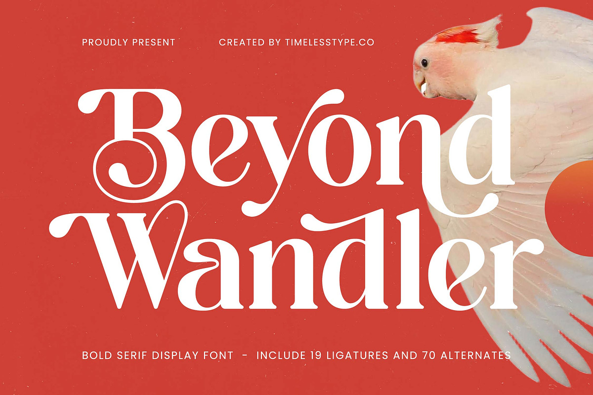 Beyond Wandler Modern Serif Font, a Serif Font by timelesstype.co (Photo 1 of 20)