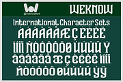 Vanguard Legend font, a Serif Font by weknow (Thumbnail 8 of 8)
