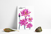Botanical cards collection, a Decorative Illustration by Art AleshkaK (Thumbnail 7 of 8)